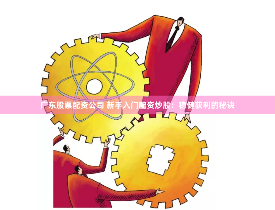 广东股票配资公司 新手入门配资炒股：稳健获利的秘诀