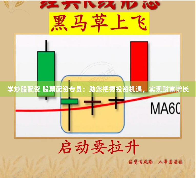 学炒股配资 股票配资专员：助您把握投资机遇，实现财富增长