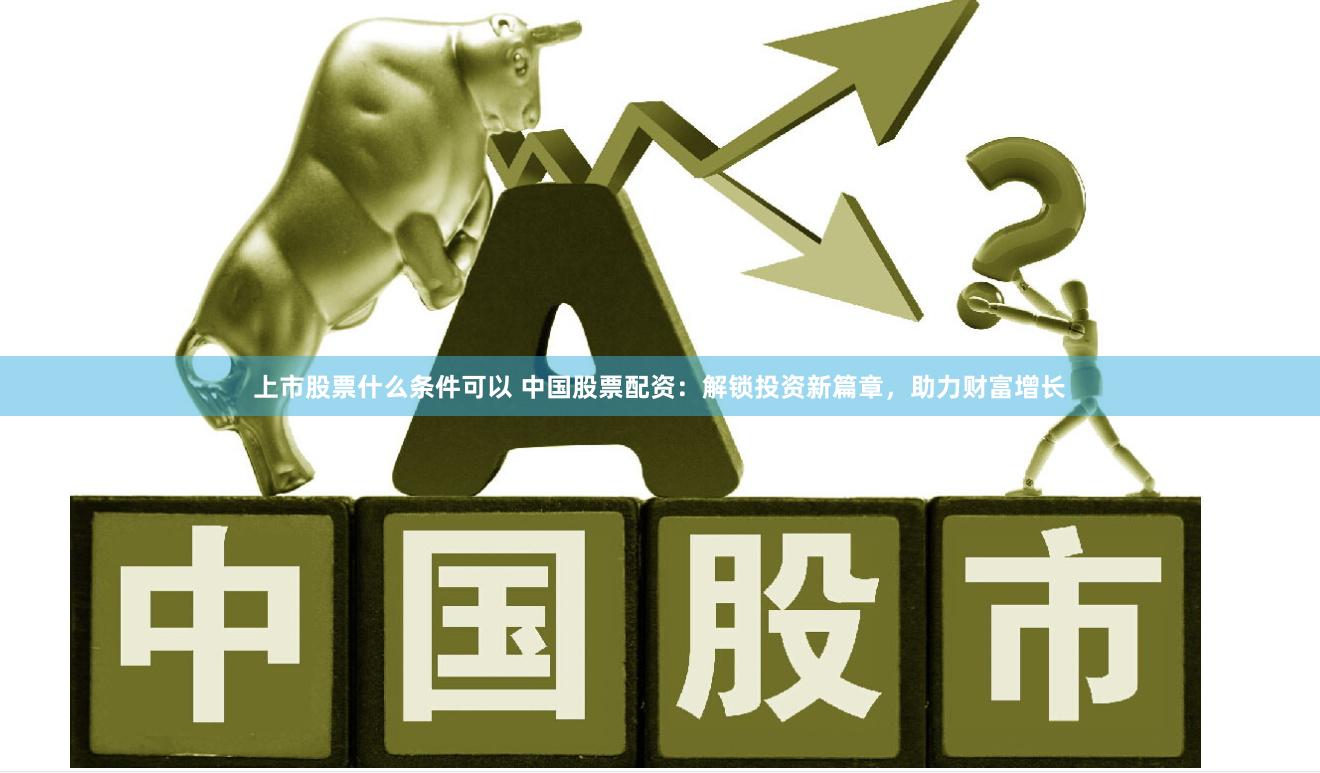 上市股票什么条件可以 中国股票配资：解锁投资新篇章，助力财富增长